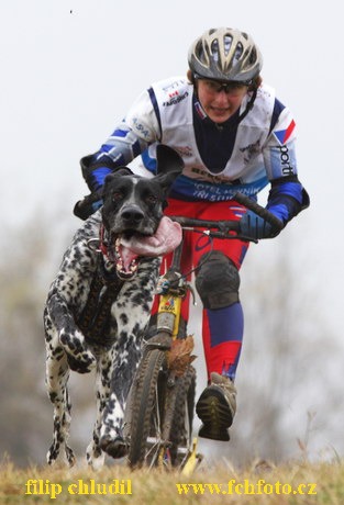 Tri studne podzim 08 - 472.jpg